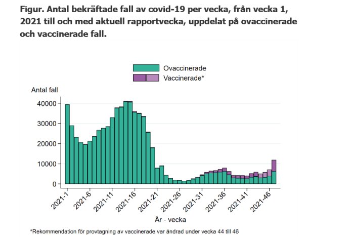 Stapeldiagram som visar antal bekräftade fall av covid-19 per vecka uppdelat på ovaccinerade och vaccinerade.