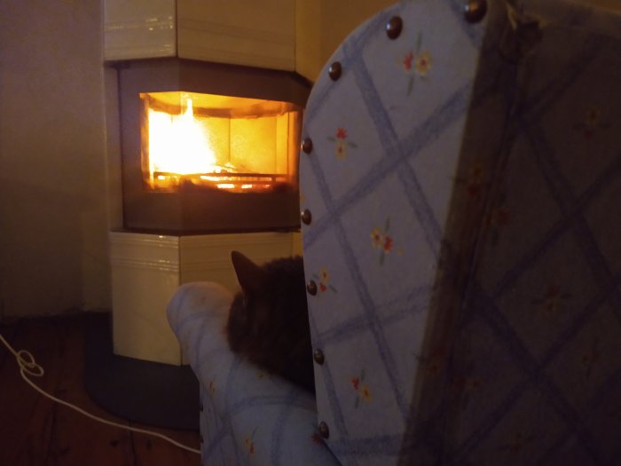Katt som ligger på golvet bredvid en tänd braskamin och en fåtölj med blommönster.