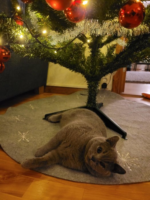 En kattunge ligger under en julgran med röda kulor och ljus, ser lugn ut utan att stöka till dekorationerna.