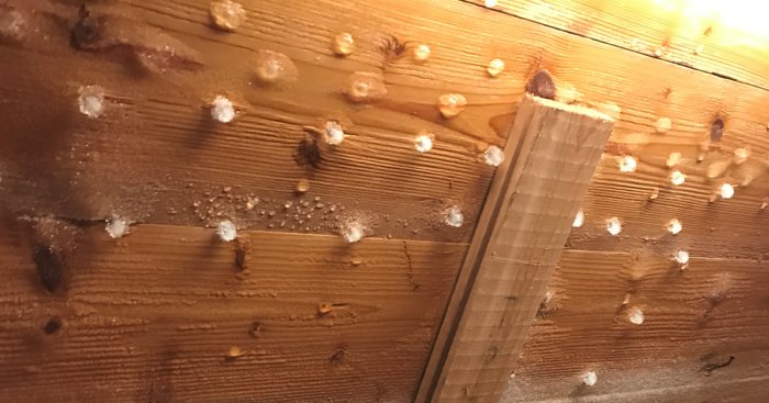 Isbildning och kondens på träbjälkar i ett vindutrymme.