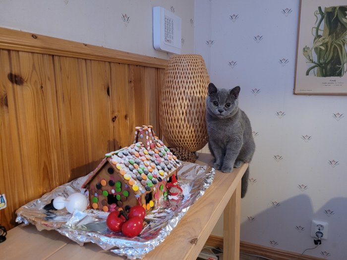 Grå katt som sitter intill ett färgglatt pepparkakshus dekorerat med godis på en trähylla.
