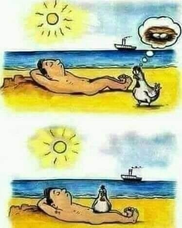 Illustration av en person som solar på stranden och en mås som fantiserar om en donut, följt av att den stjäl personens glass.