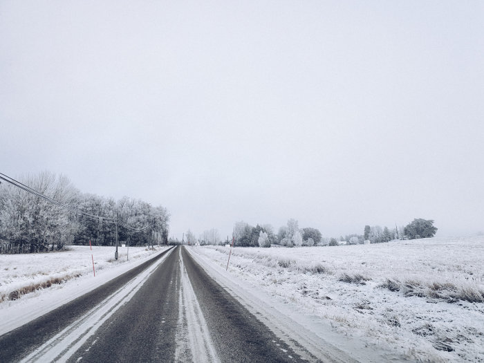 Vinterväg omgiven av snöklädda träd och fält under en grå himmel.