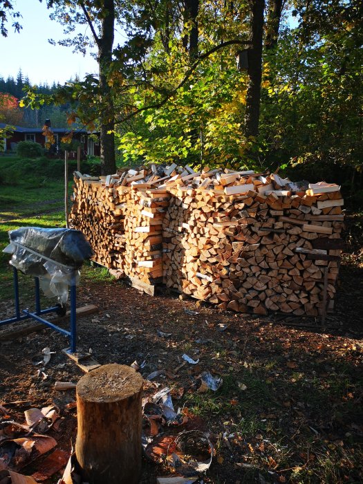 Välstaplad vedhög i en trädgård med skog i bakgrunden, stubbe och yxa synliga i förgrunden.