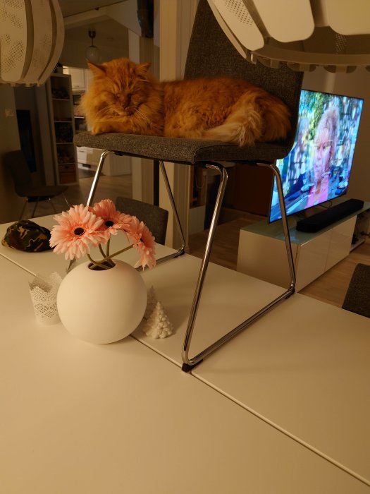 En orange katt som sover på en grå stol med en vit vas och rosa blommor i förgrunden och en TV i bakgrunden.