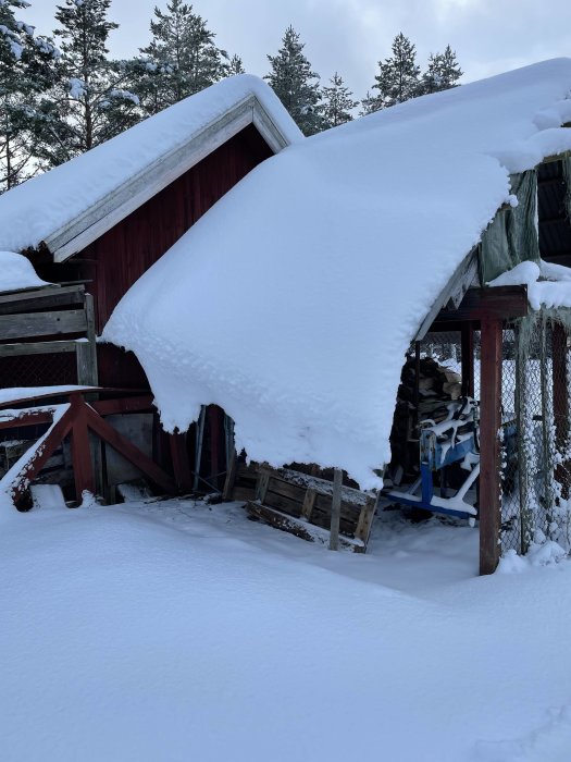 Röd stuga med tjockt snötäcke på taket, omgiven av träd och snöigt landskap.