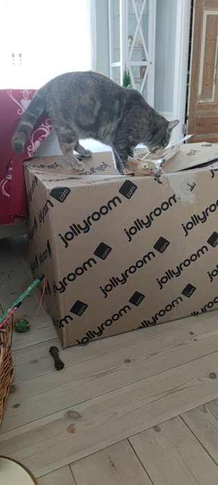 Katt klättrar på en kartong från Jollyroom, leksaker på golvet.