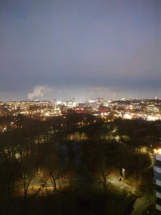 Utsikt över en stad på natten med belysta byggnader och en park i förgrunden.