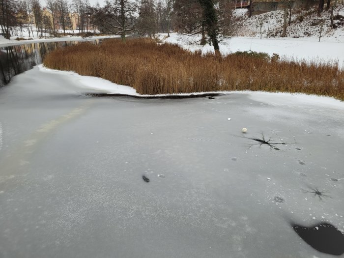 Delvis frusen sjö med is och vass omgiven av snöklädd natur.