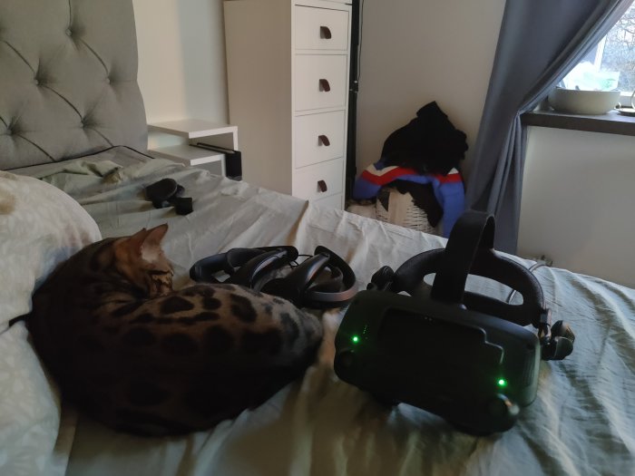 Katt som ligger på en säng bredvid en VR-headset, med möbler och klädhög i bakgrunden.