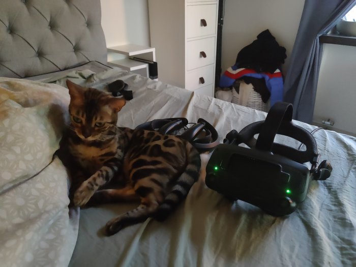 Missnöjd katt på säng bredvid VR-headset.