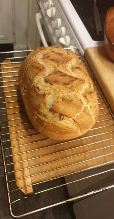 Nybakt lantbröd med valnötter på ett ugnsgaller i ett kök.