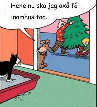 Serieteckning där en katt använder en kattlåda och ser en gran bäras in med texten: "Hehe nu ska jag oxå få inomhus toa.