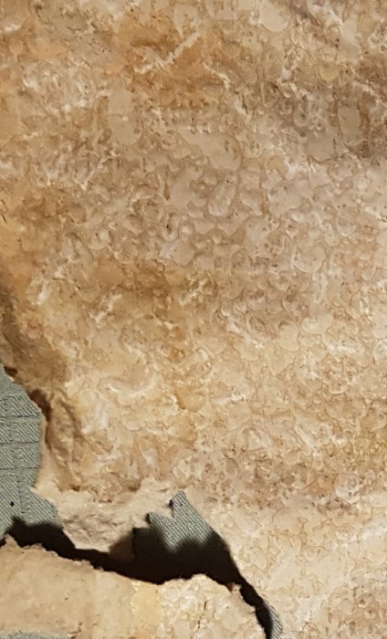 Flerskiktsbild av gammal tapet med sex lager som avslöjas där hörnet är upprivet.