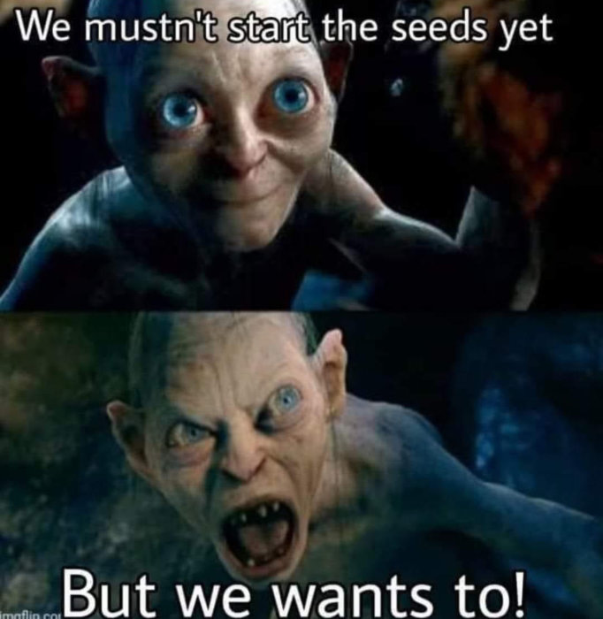 Två meme-bilder på Gollum med texten "We mustn't start the seeds yet" och "But we wants to!