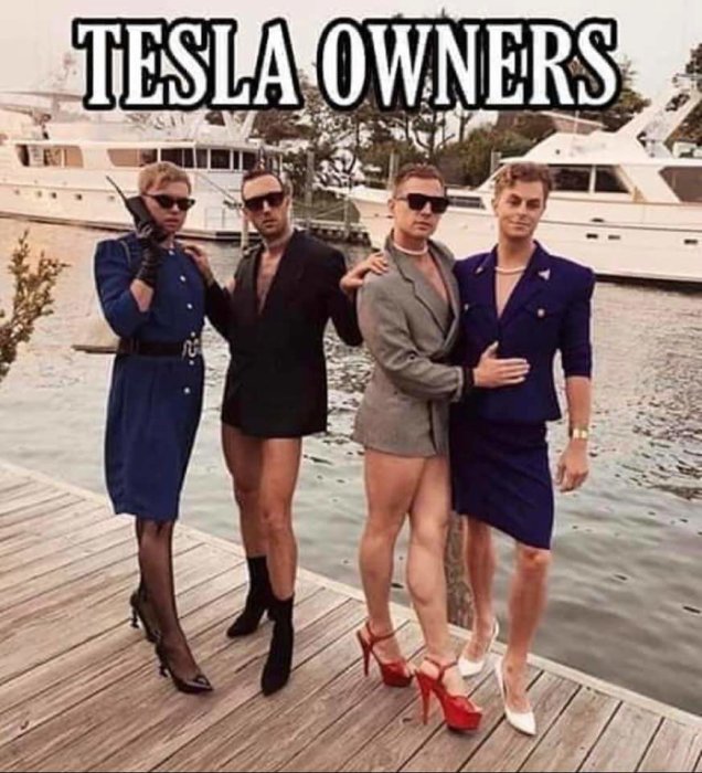 Fyra personer poserar i klackskor och businesskläder på en brygga med texten "TESLA OWNERS" ovanför.