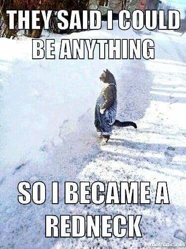 Katt stående på snö täckt gata klädd i flanellskjorta och jeans, text "I became a redneck".