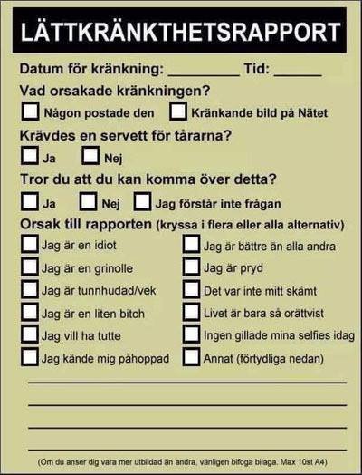En skämtsamt designad "Lättrånkthetsrapport" med flervalsfrågor om orsaker till kränkning.
