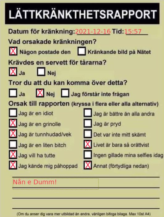 Skämtsamt ifylld "lättkränkthetsrapport" med flera markeringar och datum samt tid.
