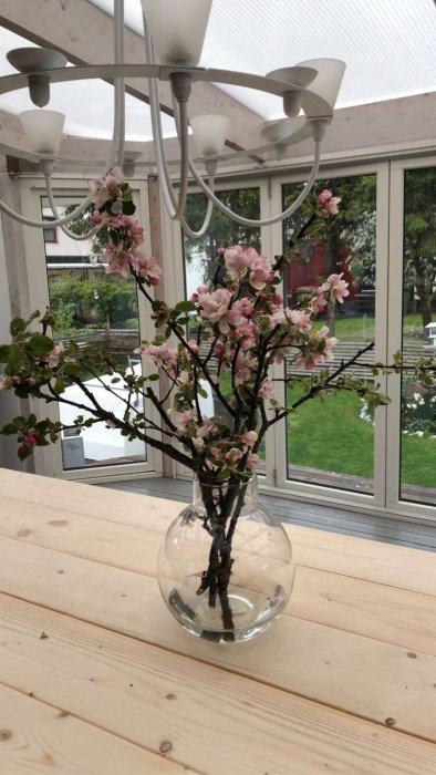Körsbärsblommor i glasvas på ett träbord i ett växthus med vit taklampa och trädgårdsutsikt.