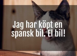 Katt tittar fram bakom ett föremål med texten "Jag har köpt en spansk bil. El bil!