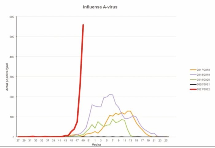 Linjediagram visar antal positiva fall av influensa A-virus per vecka på Karolinska sjukhuset över flera säsonger.