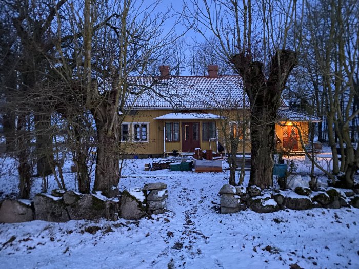 Ett gult hus med plåttak och snö i trädgården vid skymning, nyligen installerade fönster syns.