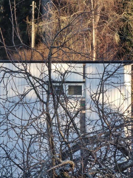 Ett vitt attefallshus delvis dolt av kala grenar med synlig taklutning och fönster.