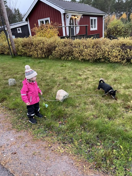 Barn i rosa jacka som håller i ett koppel med en stor sten, medan en liten hund undersöker området.