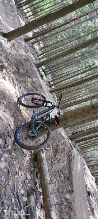 Mountainbike liggande på en skogsstig med träbro i bakgrunden, bild tagen i lutning.