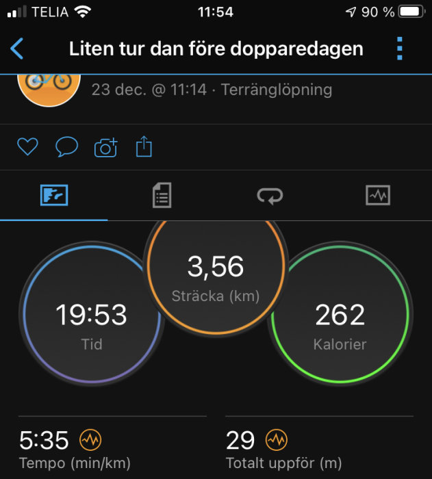 Skärmdump av en träningsapp som visar löpstatistik: distans 3,56 km, tid 19:53, kaloriförbrukning 262, tempo 5:35 min/km, höjd 29 m.