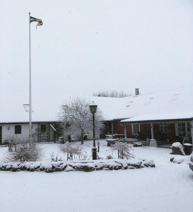 En trädgård och ett hus täckt av snö med en svensk flagga som vajar på en flaggstång.