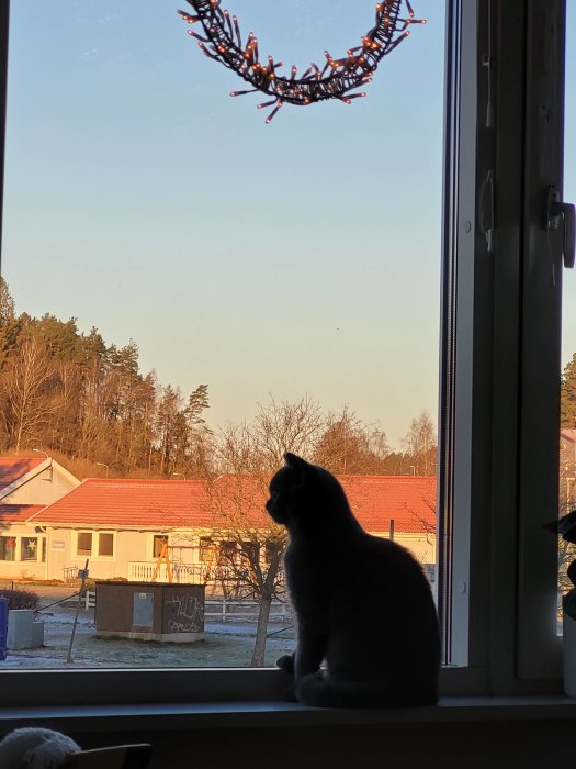 Katt sitter på fönsterbräda och tittar ut över landskap med hus och träd vid solnedgång.