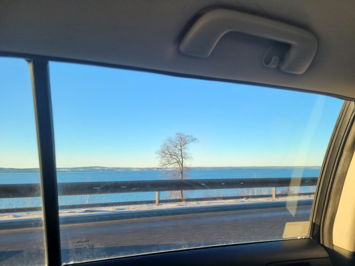 Vy av en ensam träd vid sjön sedd genom bilens sidofönster under vinter.