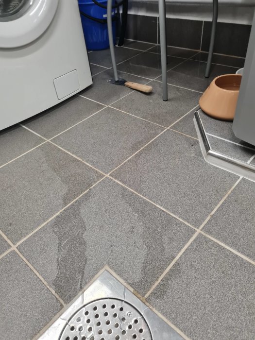 Golv i tvättstuga med synligt vattenläckage, tvättmaskin, skopa och hunds matplats.