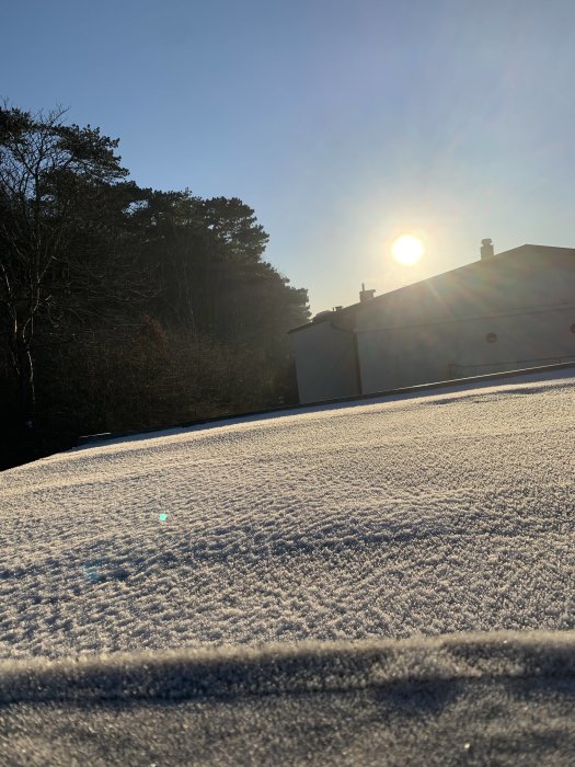 Snötäckt tak med solnedgång i bakgrunden och träd silhuetter, solstrålar synliga.