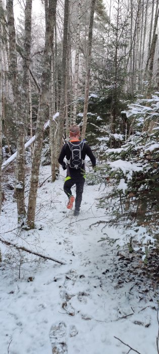 Person joggar på en snötäckt skogsslinga bland barrträd och lövträd.
