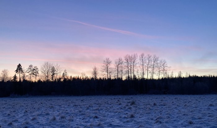 Vinterlandskap vid skymning med frostbetäckt äng och skog mot en himmel i pastellfärger.