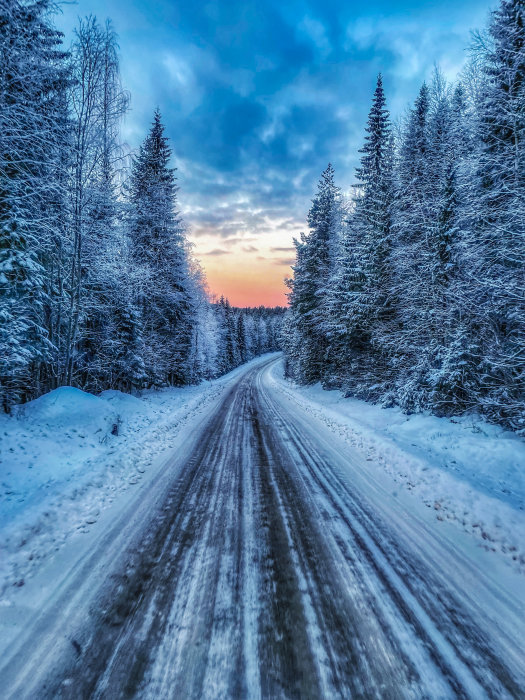 Snöig skogsväg vid solnedgång som reflekterar begreppet 'rullande kontor'.