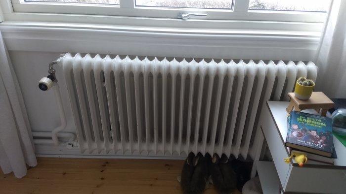 Vit ribbat radiator under fönster med termostat, omgiven av inredningsdetaljer.