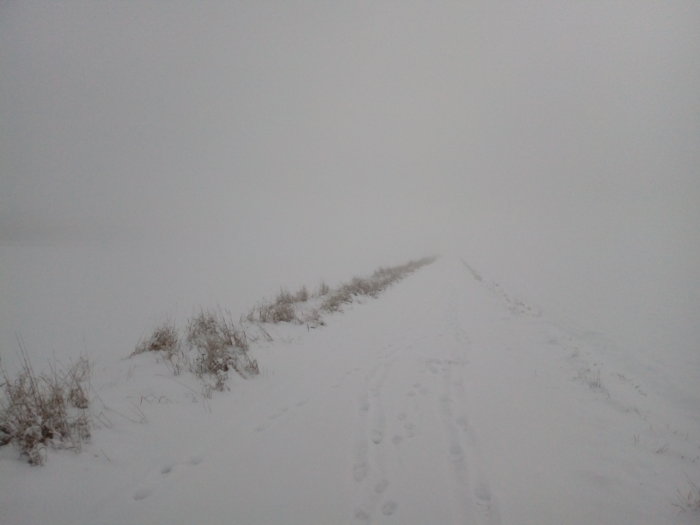 Fotspår längs en snötäckt stig som försvinner i dimman under en vinterpromenad.