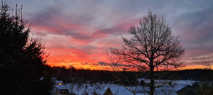 Vinterlandskap vid solnedgång med snö, träd och färgrik himmel.