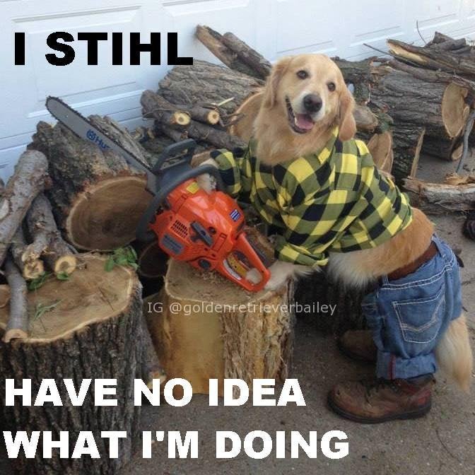 Hund klädd i rutig skjorta och jeans håller i motorsåg framför vedträn, humoristisk bild med texten "I have no idea what I'm doing