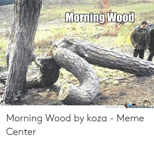 Nedfallen trädstam i en skog som ser ut att ha en böjning liknande en erektion, med texten "Morning Wood" ovanför.