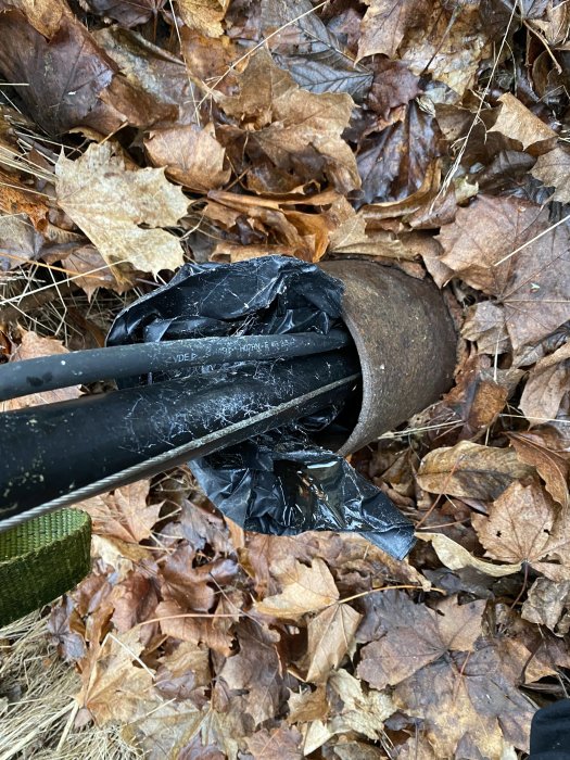 Gamla rostiga rörkopplingar och sladdar omslutna med svart tejp bland lövförna på marken.