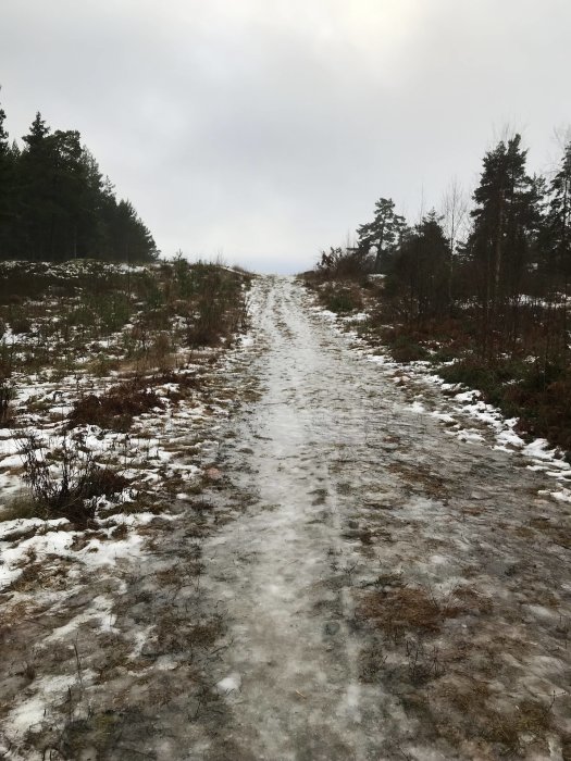 Isig skogsväg med snöfläckar och omgivande barrträd under en mulen himmel.