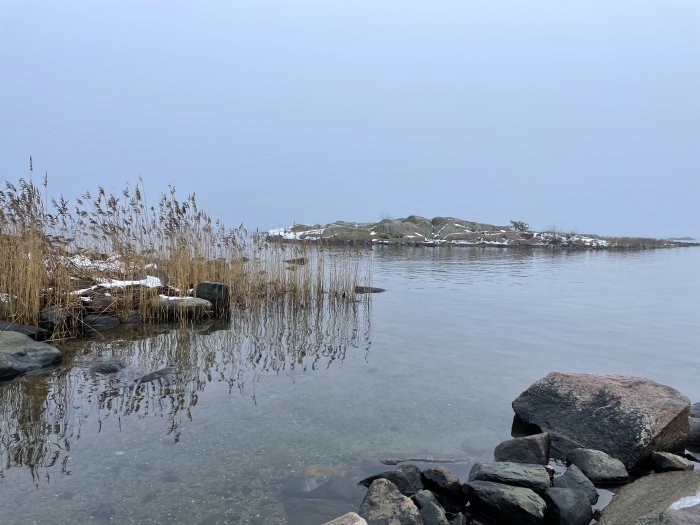 Vinterlandskap vid en stilla sjö med vass och snötäckta stenar i förgrunden.