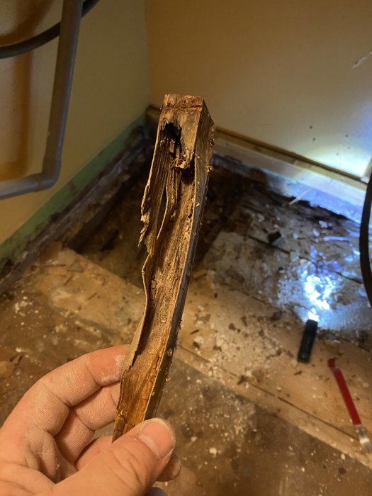 Skadat golvplank hålles upp framför utrivet golv med vattenskador i en tvättstuga.