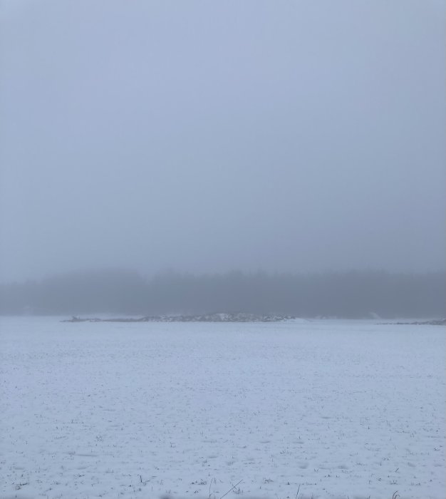 Dimmig vinterlandskap med snötäckt fält och träd silhuetter i bakgrunden.