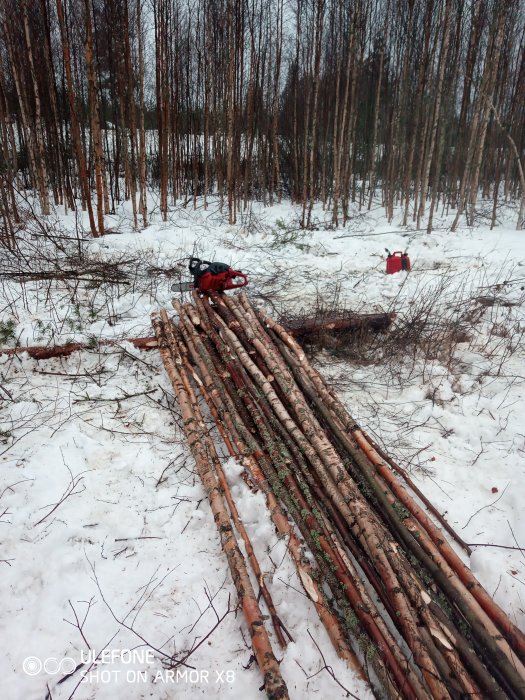 Avhuggna grenar ligger på snötäckt mark med en motorsåg och bränsledunk i bakgrunden i en skog.